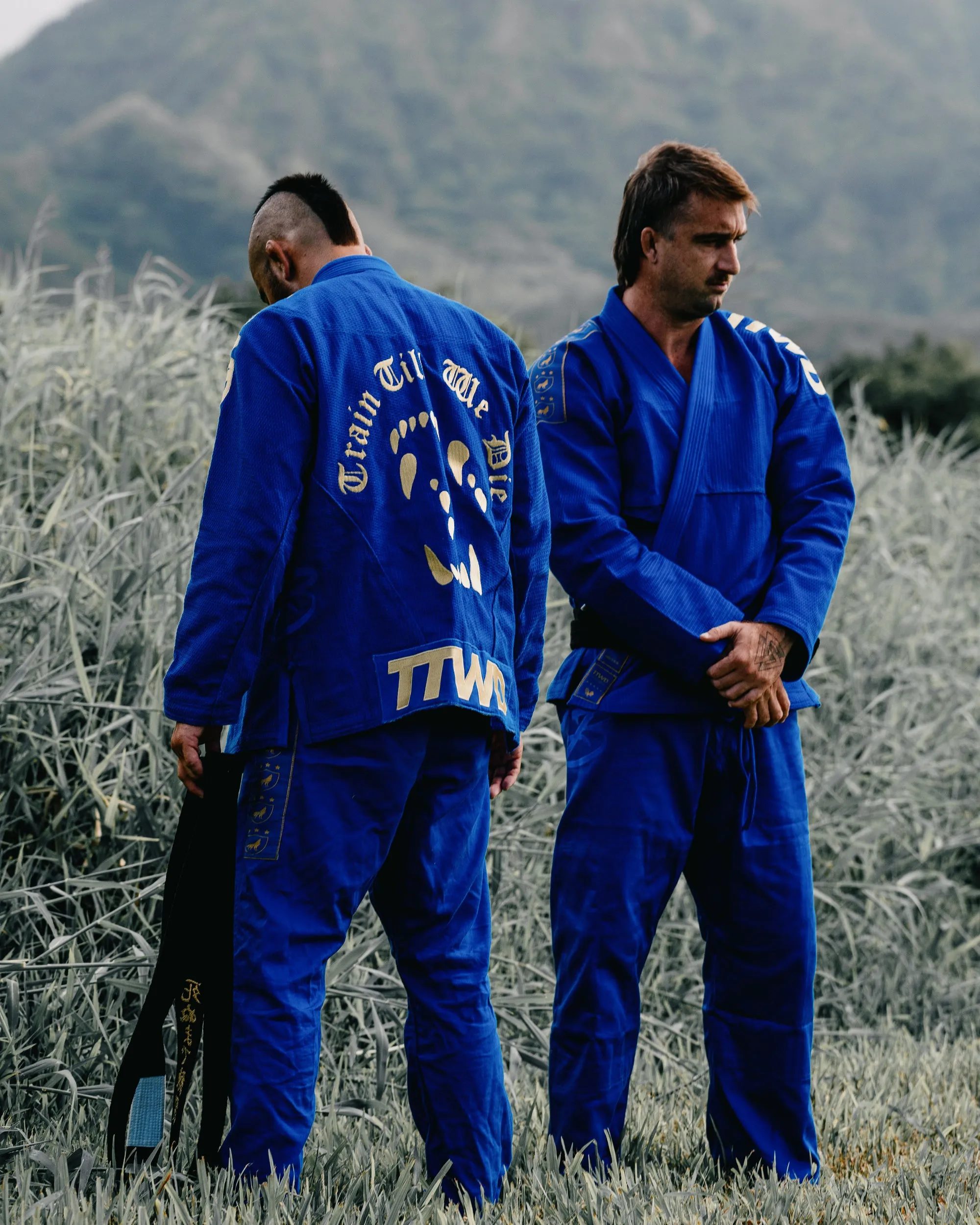 The Official Issue Business Suit V31 - "The Golden Wolf" - Royal Blue