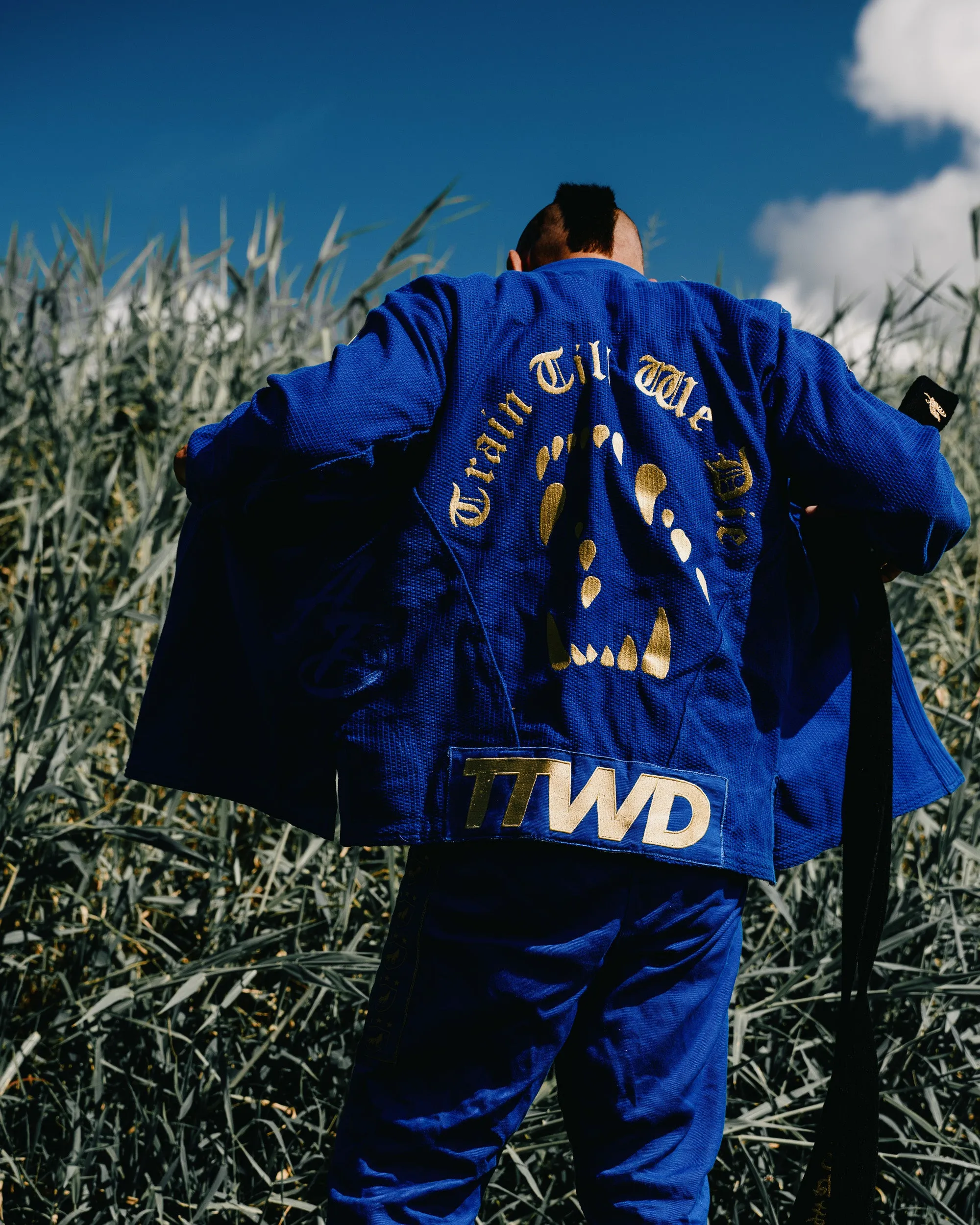 The Official Issue Business Suit V31 - "The Golden Wolf" - Royal Blue