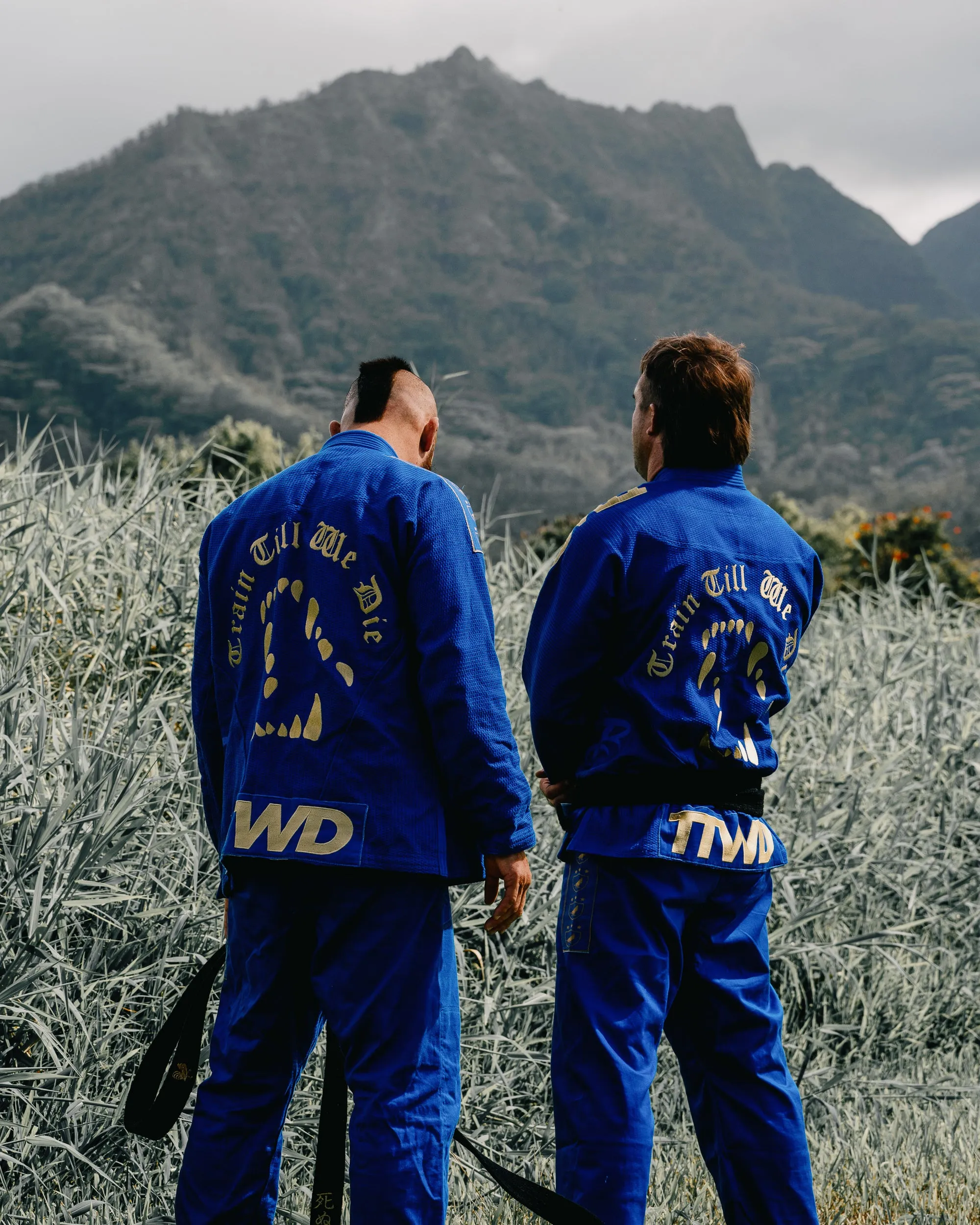 The Official Issue Business Suit V31 - "The Golden Wolf" - Royal Blue